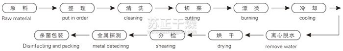 脱水蔬菜带式干燥工艺流程